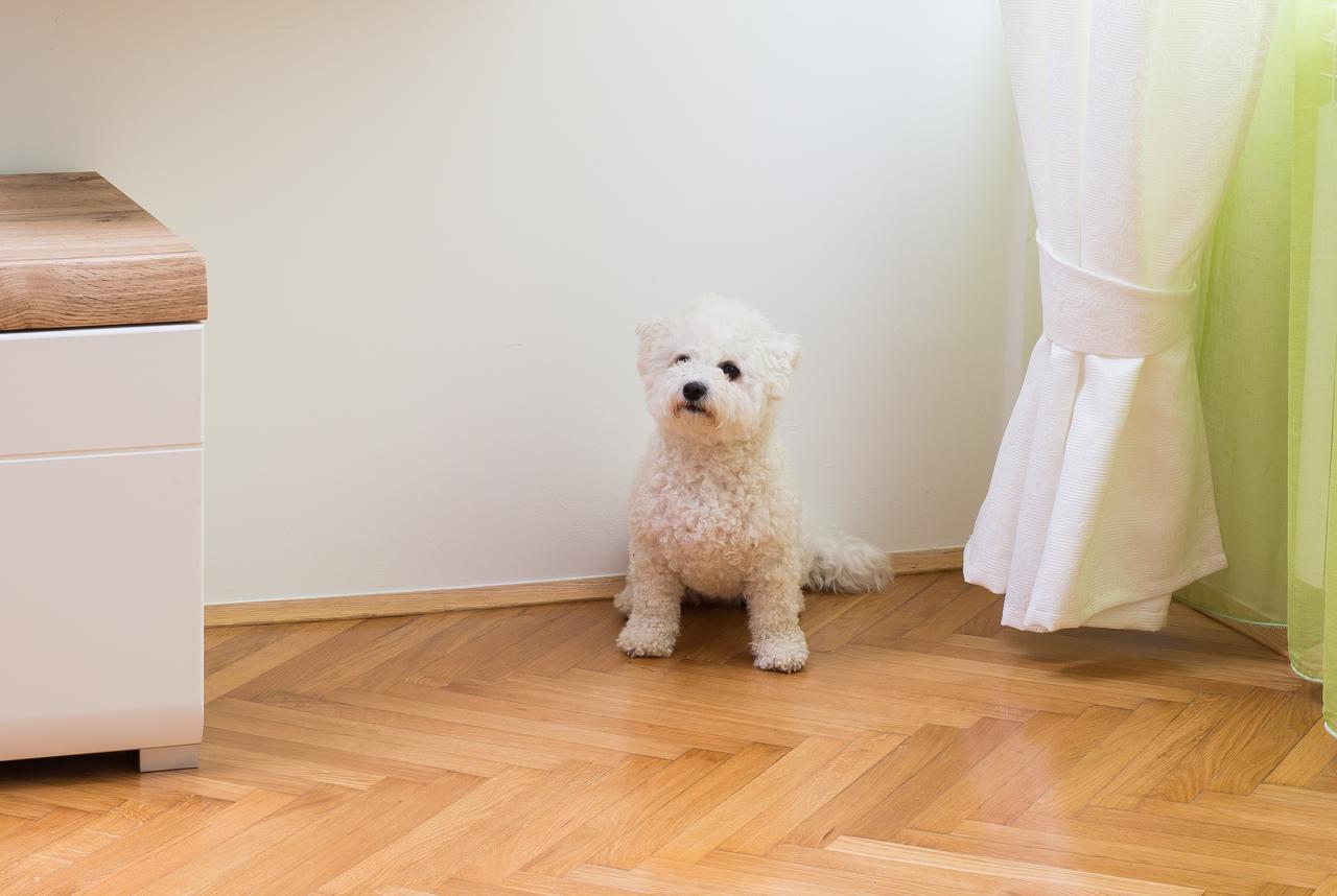 Apartman Zagreb Mandic Zewnętrze zdjęcie